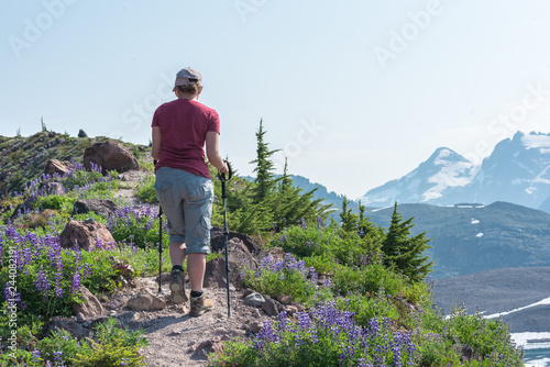 Εκτύπωση καμβά Hiking elfin lakes and rampart ponds in the garibaldi provincial park
