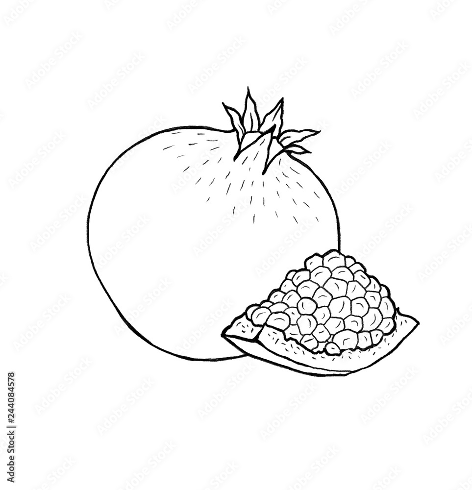 Hand drawn pomegranate fruit with leaf and seeds. Outline, white