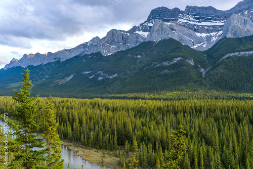 Fototapeta Naklejka Na Ścianę i Meble -  Mountain Valley - A Spring evening view of dense evergreen forest in Bow River Valley at base of Mount Rundle, Banff National Park, Alberta, Canada.