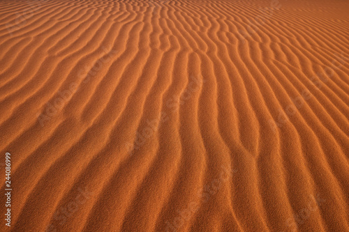 Desert structure, the surface of the red dune with sand waves. Namib Naukluft National Park, Namibia. © Martin Mecnarowski