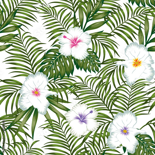 Egzotyczne białe kwiaty hibiskusa i zielone liście bez szwu