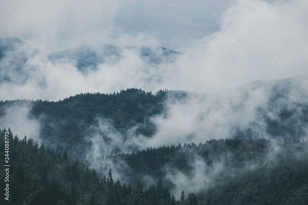 Misty landscape of mountain and forest. Summer foggy and cloudy morning