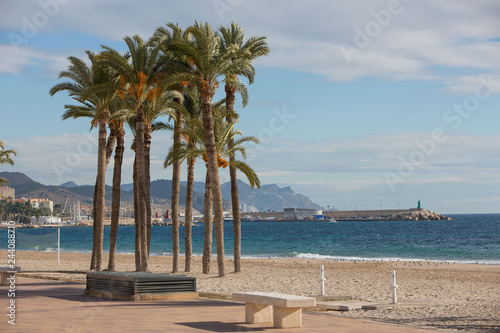 View on the beach of the village Joiosa, Alicante, Spain with palm trees and harbor in distance