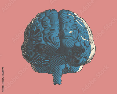 Brain engraving graphic illustration on blue BG
