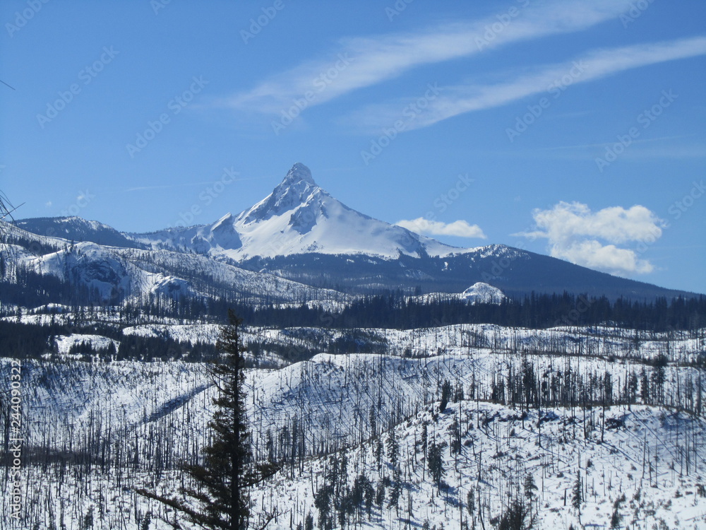 Obraz premium snowy mountain