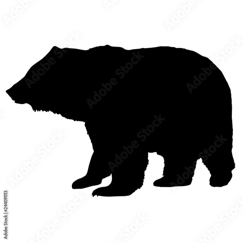 Silhouette brown bear on a white background