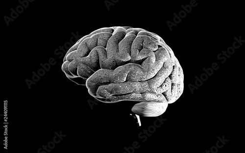 Brain engraving graphic illustration on dark BG