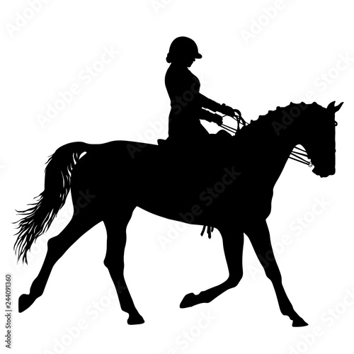 The black silhouette of horse and jockey