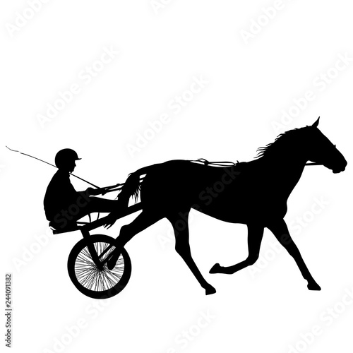 The black silhouette of horse and jockey