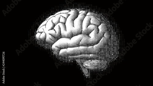 Digital code brain illustration isolated on black BG