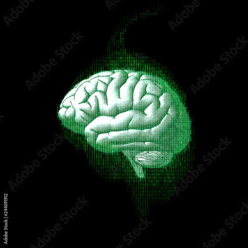 Digital code brain illustration isolated on black BG
