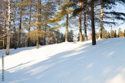 Winter forest landscape at sun rays in Finland.