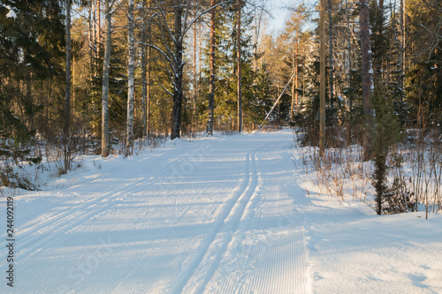 Ski track at winter forest in Finland