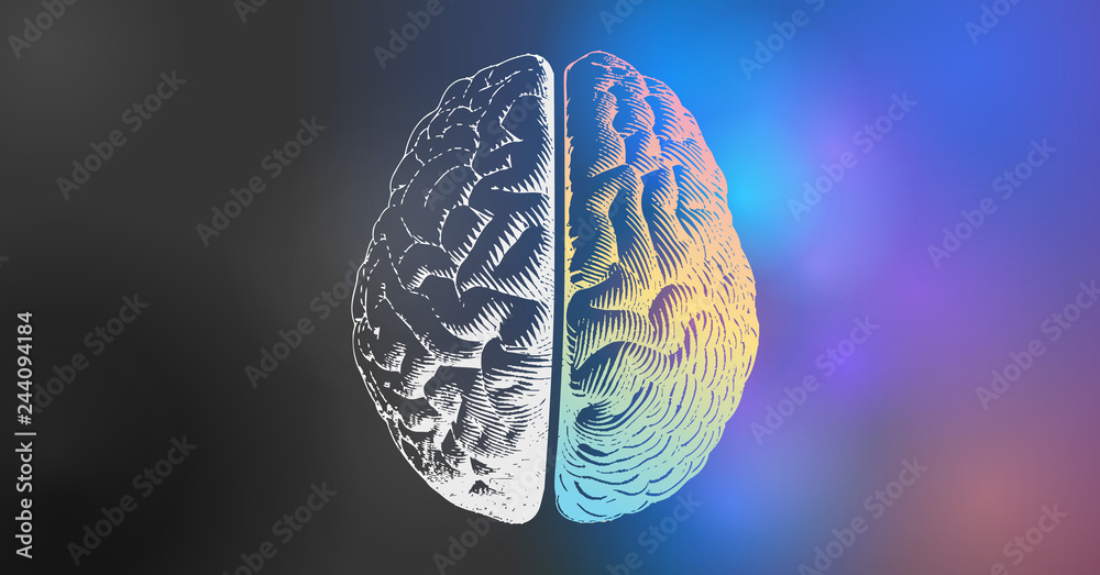 Brain drawing half with color and monochrome on dark BG Brain drawing half with color and monochrome on dark BG