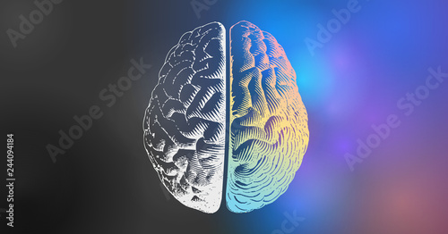 Brain drawing half with color and monochrome on dark BG