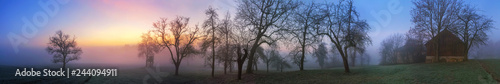 Bunte Dämmerung am Land im Winter, mit Silhouetten der Bäume