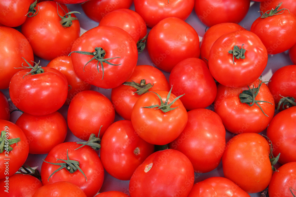Ripe tomatoes. Many tomatoes Ripe tomatoes. Many tomatoes