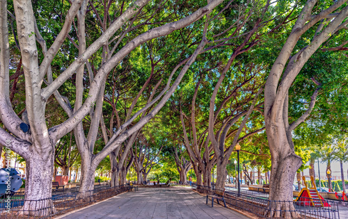 View of Nicolas Salmeron city park in Almeria, Andalusia, Spain.