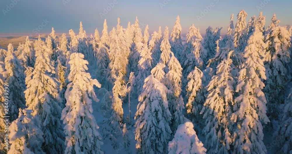 Aerial winter nature nordic landscape snowy mountain forest and lake on sunset
