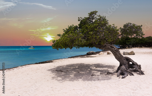 Schilderij op canvas sunset beach in Aruba