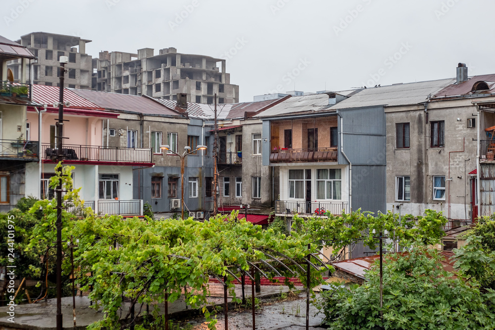 city ​​courtyard with a vineyard in Batumi, Georgia