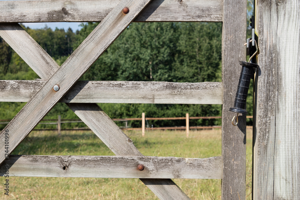 Detail of horse paddock and wooden fence. Detail of horse paddock and wooden fence.