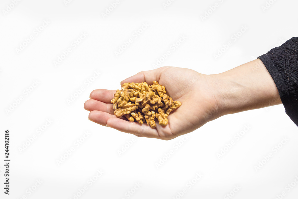 Hand holding bunch of walnuts in isolated white background Hand holding bunch of walnuts in isolated white background