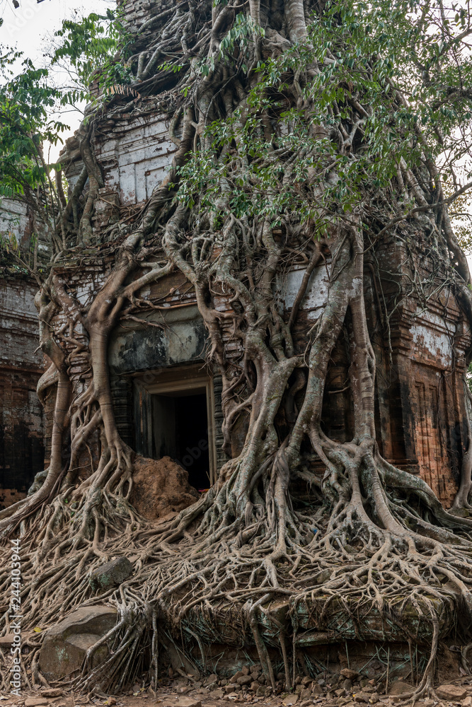 Kingdom of Temples
Kingdom of Temples