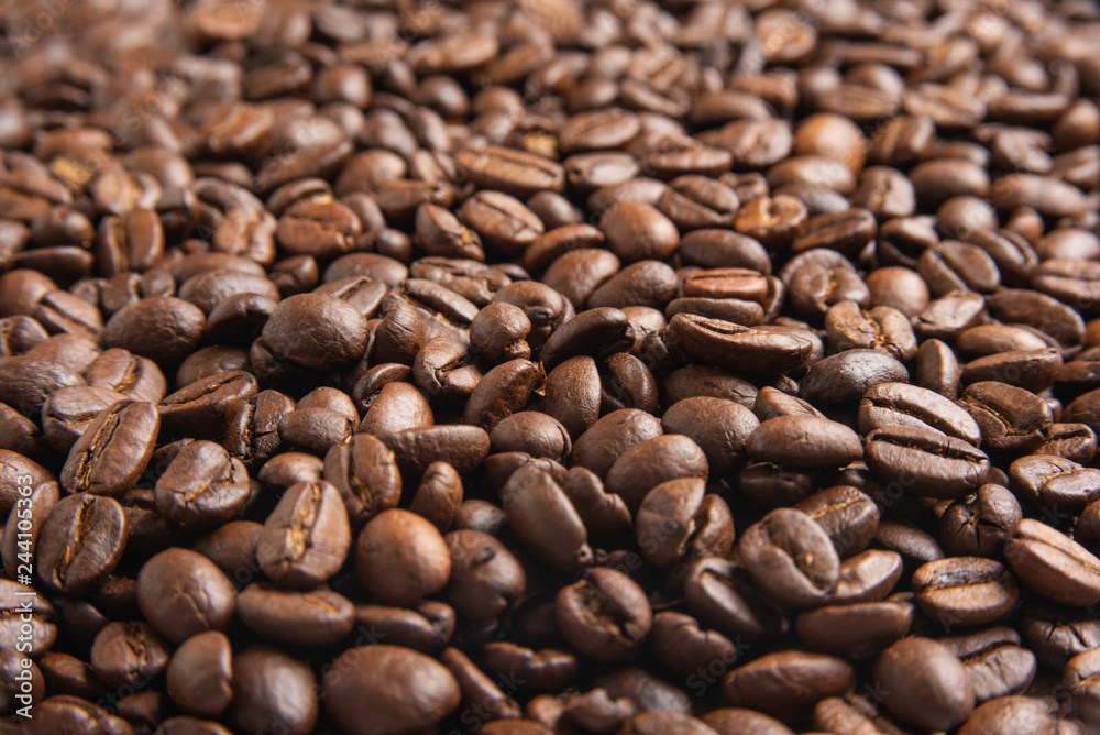 Fototapeta premium A spread of roasted and dried wild arabica coffee beans with selective focus and shallow depth of field in horizontal image format.