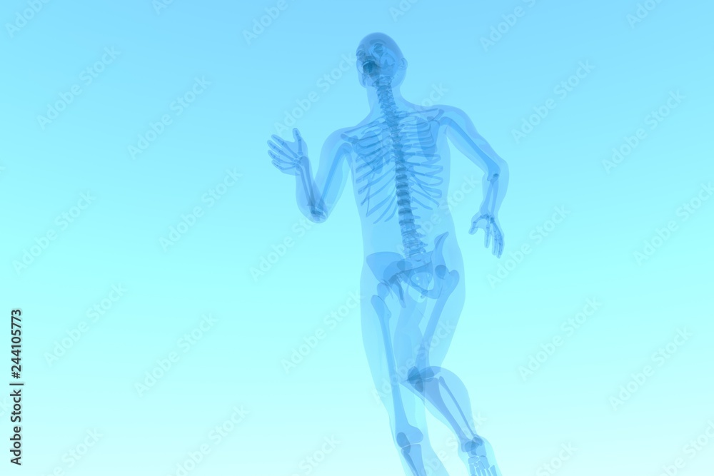 x ray 3d rendered skeletal medical illustration x ray 3d rendered skeletal medical illustration