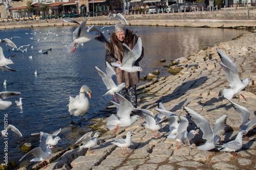 A happy 83-year-old lady with birds at the port of Ohrid Lake, Macedonia.