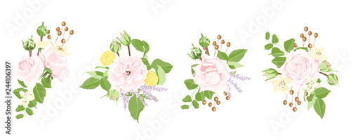 Watercolor Set of Roses and Floral Elements. © ingara