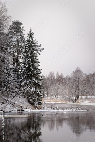 Winter scenery, Gauja river, Latvia © Igors