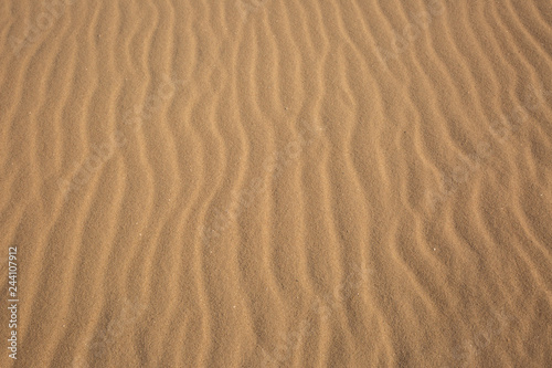 Ripples in Sand