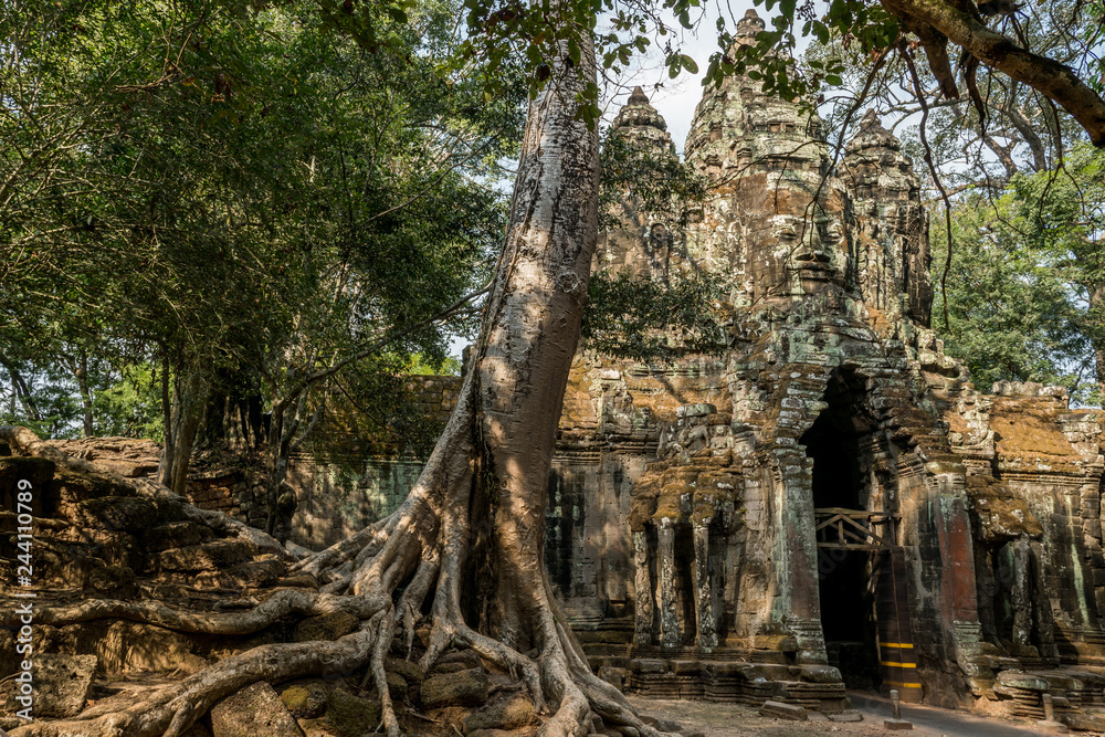 Kingdom of Temples
Kingdom of Temples