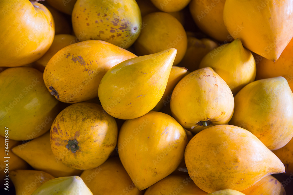 Pile of fresh canistel eggfruit, a tropical fruit related to the mamey sapote with the texture of a boiled egg yolk, at an outdoor farmers market Pile of fresh canistel eggfruit, a tropical fruit related to the mamey sapote with the texture of a boiled egg yolk, at an outdoor farmers market