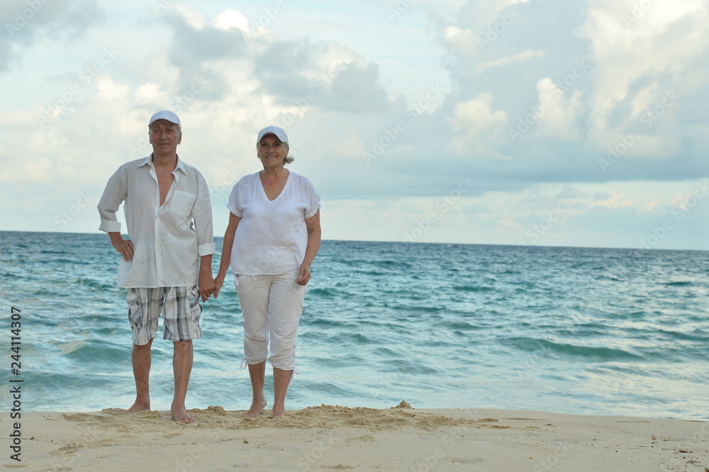 Portrait of elderly couple at tropical beach Portrait of elderly couple at tropical beach