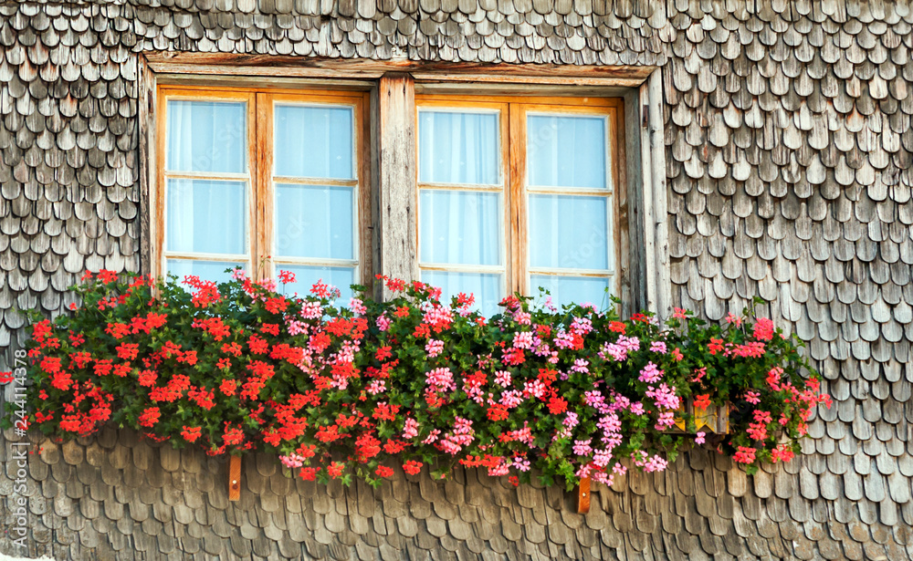 Facade of houses with their windows decorated with pots