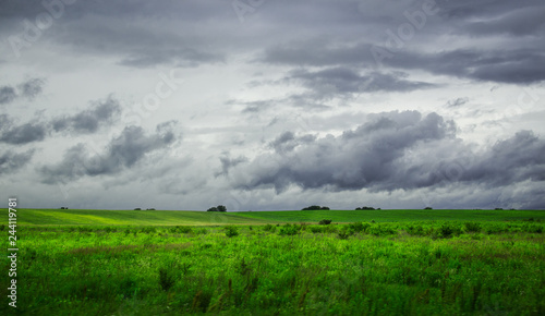 green field and blue sky © Вероника Репина