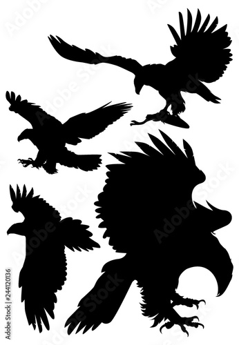 soaring eagles vector illustration © yuriks