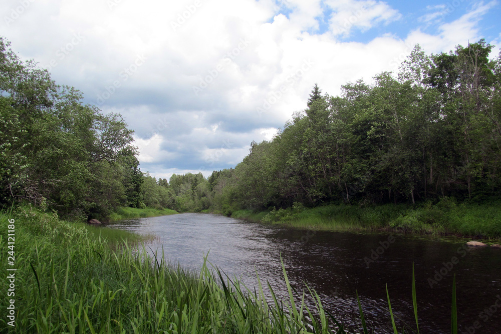 River lakes sky forest grass algae. River lakes sky forest grass algae.