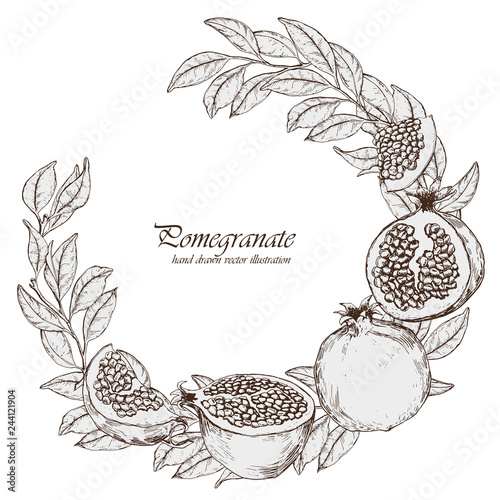 Wreath design with pomegranate fruits and leaves.  Hand drawn vector illustration.