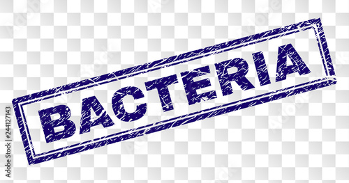 BACTERIA stamp seal print with rubber print style and double framed rectangle shape. Stamp is placed on a transparent background. Blue vector rubber print of BACTERIA caption with retro texture.