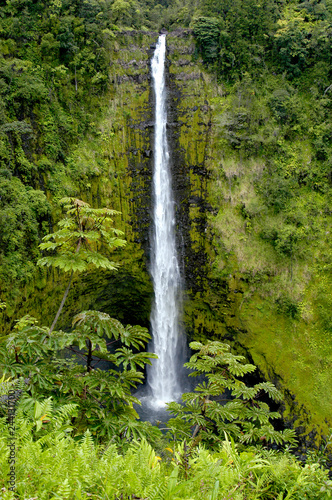 A spectacular waterfall on the Big Island of Hawaii. 