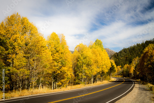 Golden Corralled - The Carson Pass Highway encircles an aspen grove in autumn gold. Picketts Junction, California, USA
