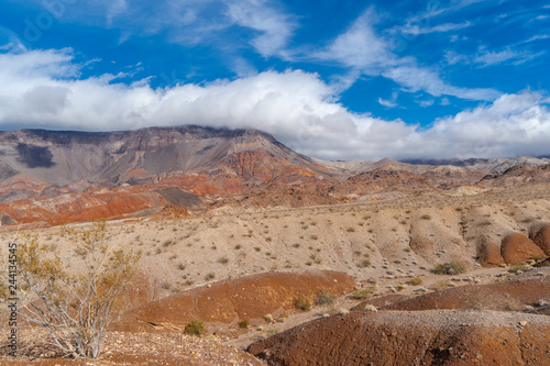 A desert landscape near Lake Mead