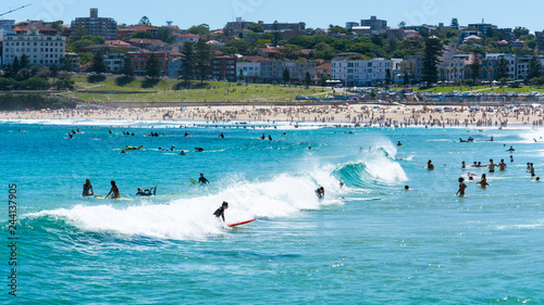 Obraz na płótnie Surfers taking waves on Bondi beach water in Sydney Australia