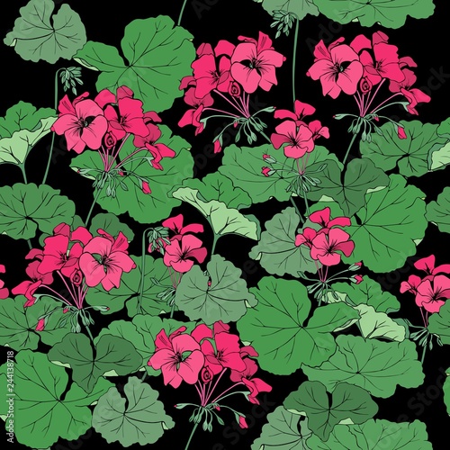 Fototapeta Naklejka Na Ścianę i Meble -  Blooming geranium on a black background. Seamless vector pattern.