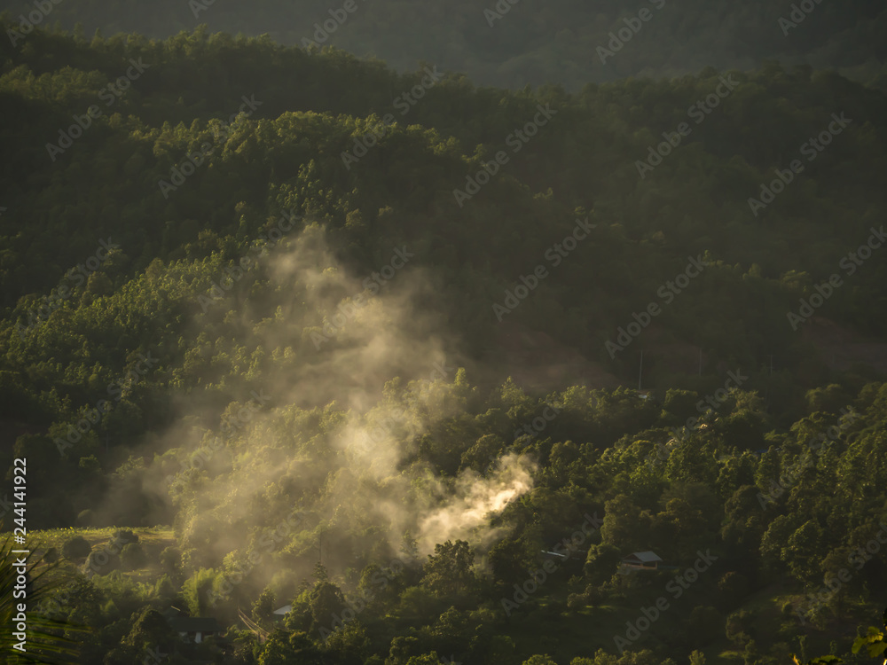 Fototapeta premium Dym w lesie w Tajlandii