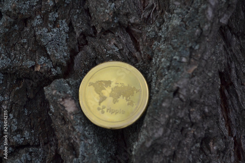 Golden coin of virutal currency laying on  bark background photo